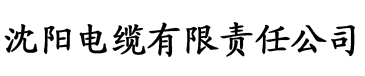 亚洲精品无码久久久久去Q电缆厂logo